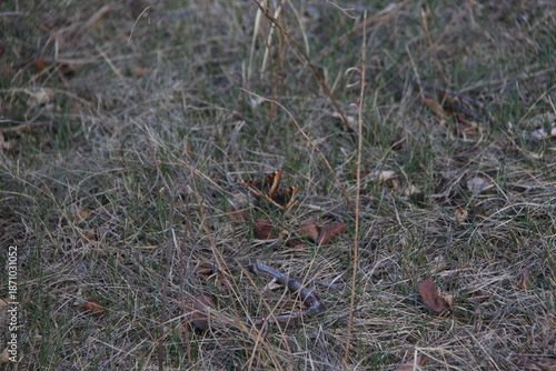 Spring Scenery in the Qu'Appelle Valley with the River, Hills and Trees