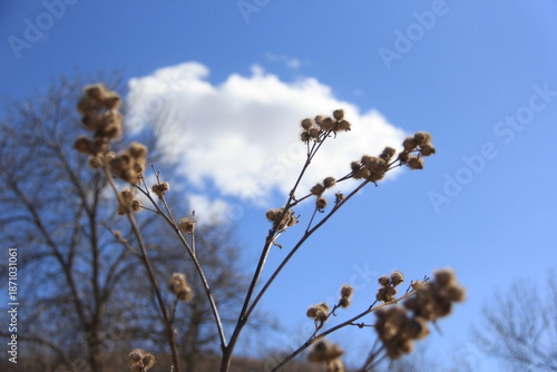 Spring Scenery in the Qu'Appelle Valley with the River, Hills and Trees
