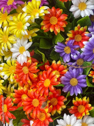 colorful flowers background