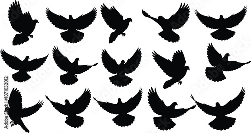 Silhouettes of fifteen birds in various flying poses, illustrating motion, freedom, wildlife dynamics, and graceful avian movement in nature