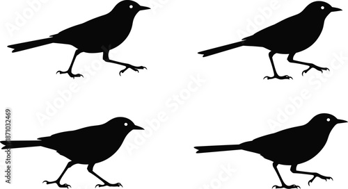 Silhouettes of four walking birds in grid formation, illustrating motion, wildlife behavior, minimalism, and animal locomotion concept