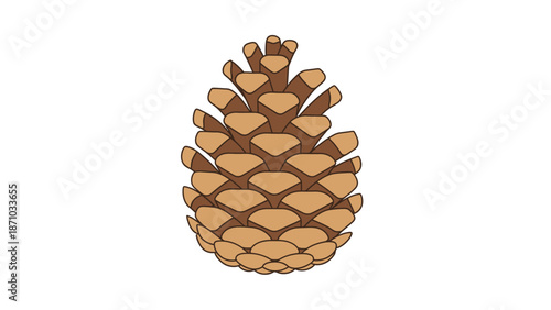 A Detailed Illustration of a Pine Cone on a White Background