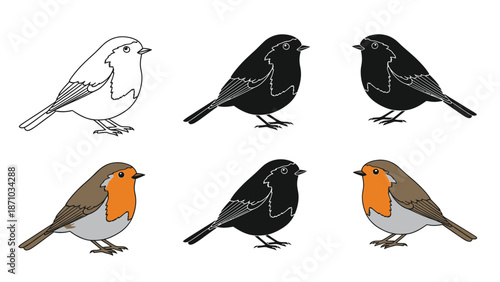Illustration showing color variations of a european robin bird, including outline, silhouette and full color versions, for comparison and study
