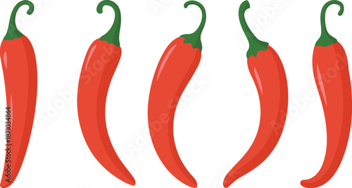 Spicy red chili peppers, vector illustration, isolated hot peppers, organic food cooking ingredient, agriculture harvest, fresh vegetable design art background