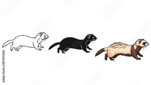 Set of three ferrets in different colors outline, solid black and sable pattern