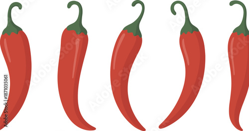 Spicy red chili peppers, vector illustration, isolated hot peppers, organic food cooking ingredient, agriculture harvest, fresh vegetable design art background