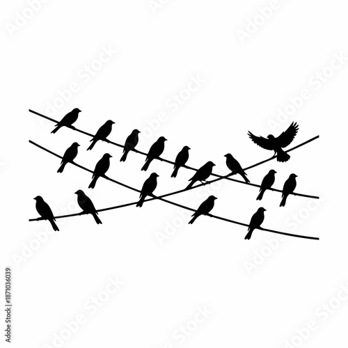 vector silhouette of birds perched on wires isolated on white background