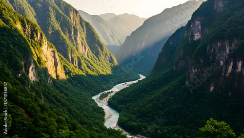 Dramatic mountain gorge with silver river flowing through lush forest under warm sunlight