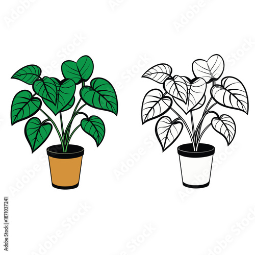 make me a wonderful design 