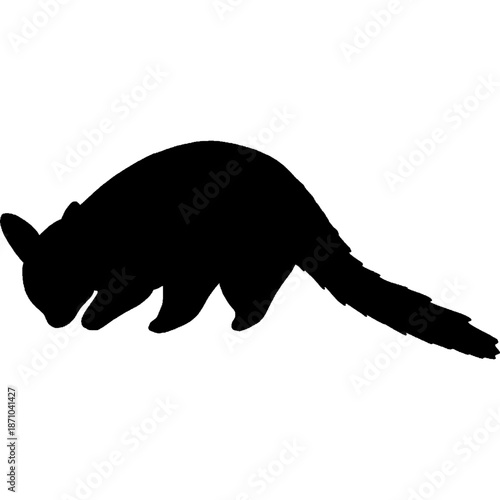 Bushy tailed opossum silhouette