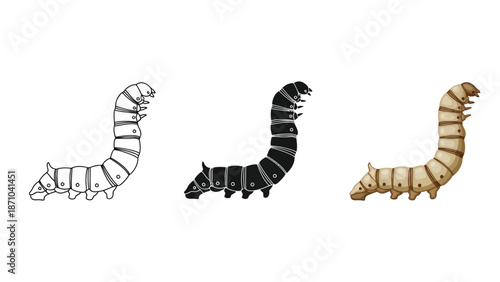 Set of three illustrations of a silkworm larva bombyx mori in different styles outline, silhouette and realistic watercolor drawing