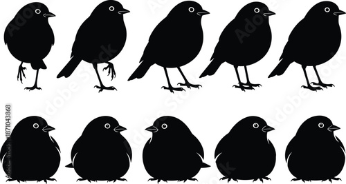 Bird silhouette collection in various standing poses, cute animal wildlife illustration, black and white minimal design, nature themed artwork