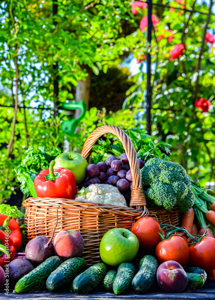 Fototapeta premium Fresh organic vegetables and fruits in the garden