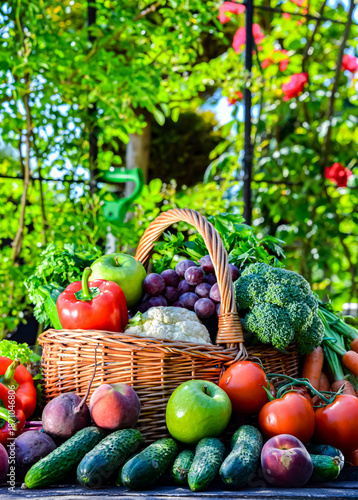 Fresh organic vegetables and fruits in the garden © monticellllo