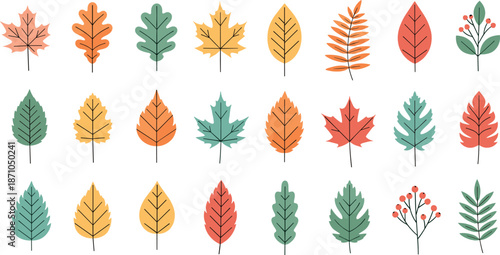 Autumn leaves vector collection with colorful fall foliage icons in flat cartoon illustration style isolated on white background for seasonal design