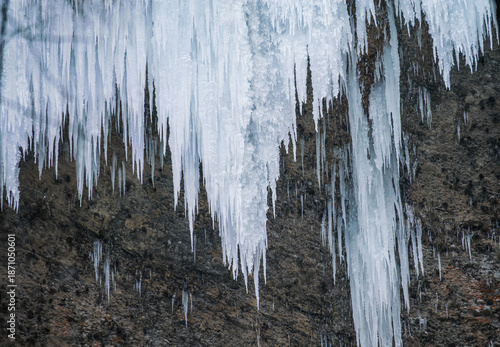 Glace en formation pendant le grand froid