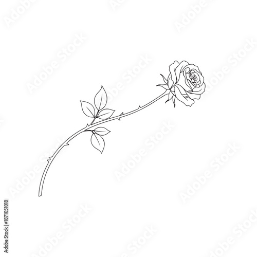 Black line of a single rose on a stem with thorns and leaves flower black line thorns