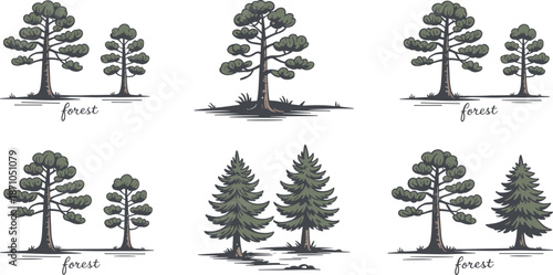 Beautiful hand-drawn forest illustration featuring pine and evergreen trees, natural woodland scenery, peaceful outdoor landscape, and lush green environment flat vector illustration
