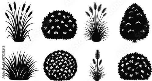 Plant, bush, silhouette, grass, flower, foliage, leaf, nature, garden, botanical, black, vector, shape, design, landscape, decorative, wild, floral, graphic, element