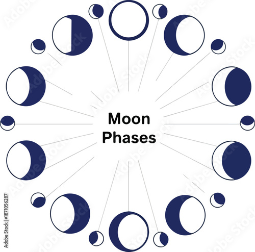 Moon Phases Illustration Lunar Cycle Diagram.