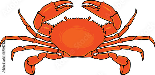 Vibrant red crab vector isolated on white. Great for nautical designs, seafood festivals, and educational materials. Isolated Sea Animal Icon for Beach and Seafood Themes. Red Crab Vector Illustration