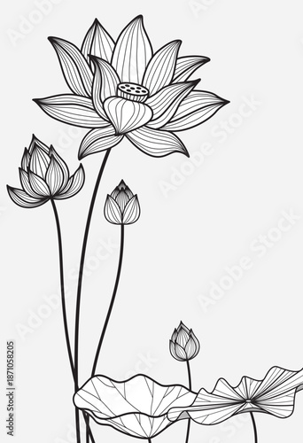 Wild flower lotus vertical version ,Lotus line arts design for fabric, prints and background texture, Vector illustration