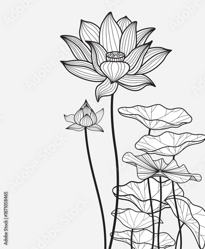 Wild flower lotus vertical version ,Lotus line arts design for fabric, prints and background texture, Vector illustration
