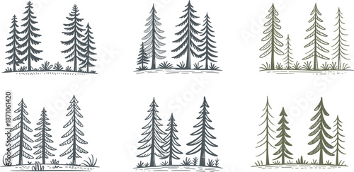 Hand-drawn pine tree forest illustrations set, nature landscape sketches, evergreen trees clipart, rustic woodland art collection, green and gray tones flat vector illustration