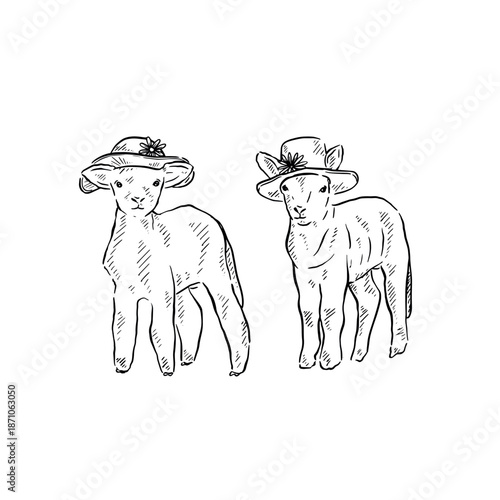 Two lambs standing next to each other. Hand drawn animals with Easter spring theme wearing Easter bonnets