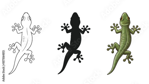 Set of three gecko illustrations outline drawing, black silhouette and realistic green color drawing