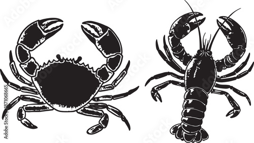 Hand drawn vector illustration of two detailed crabs isolated