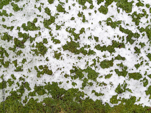 Thawing snow on grass