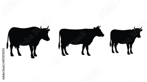 Silhouette of three cows standing in a row against a white background