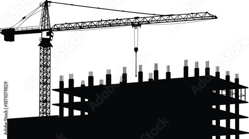 Construction site with tower crane, building framework silhouette, industrial construction project, urban architecture development, progress, heavy machinery, black and white image
