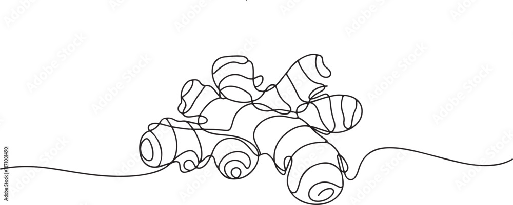 Obraz premium ginger continuous One line drawing art illustration organic ginger, one line Art icon drawing vector