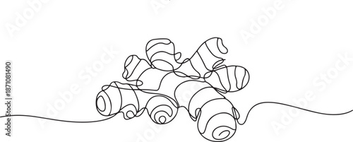 ginger continuous One line drawing art illustration organic ginger, one line Art icon drawing vector