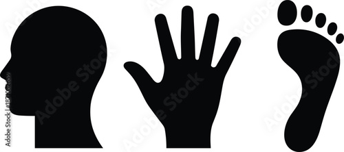Black Silhouettes Of Human Head Hand And Foot On White Background profile face