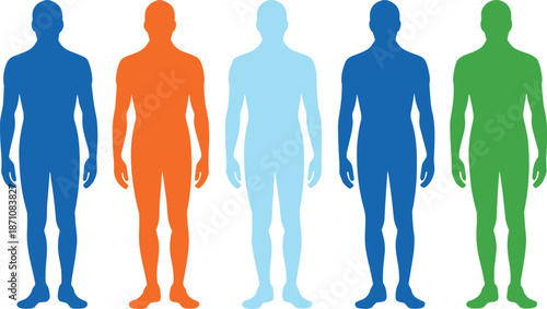 Five Human Body Silhouettes in Different Colors on White Background vector illustration