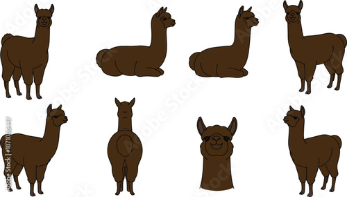 Set of brown alpaca vector illustrations in various poses including sitting, standing, and front views, isolated on white background, animal clip art