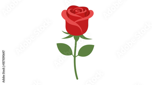  illustration shows a single red rose with green leaves on stem