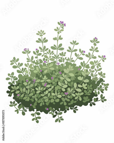 Green blooming bush with small purple flowers, decorative element for garden design and natural landscape illustrations, vector art