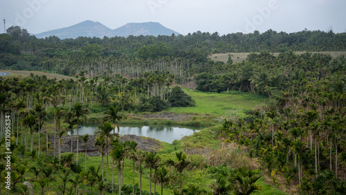 Hainan Coconut Grove Farm