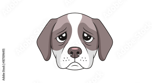 Sad-looking dog with droopy eyes and ears white and brown fur.
