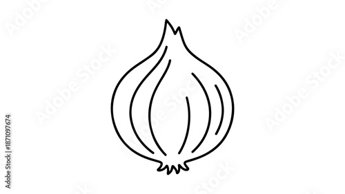 simple onion line art vector illustration on white background