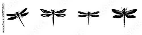 Different types of dragonflies in black silhouette on a white
