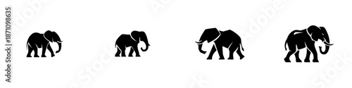 Different sizes of elephants walking in a line on a plain background