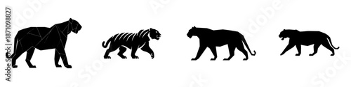 Various poses of tigers from left to right showing different stances