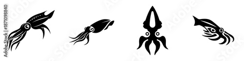 Different types of squid and cephalopods are seen in black