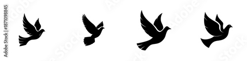 Different types of birds flying in various positions across a simple