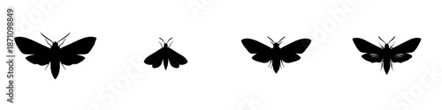 Different types of moths in silhouette on a white background with no